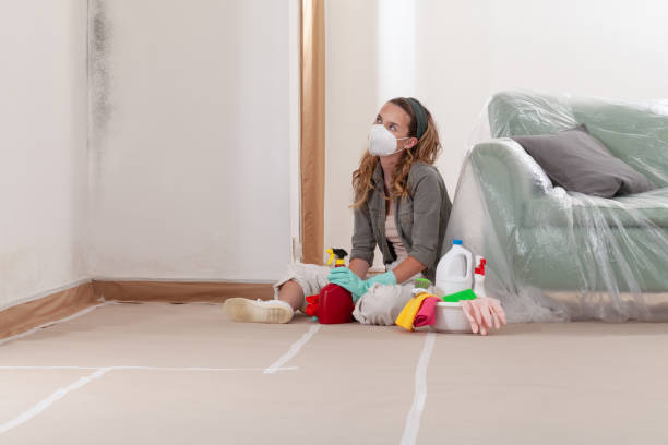 Reliable Mold Removal contractor in Beverly, MA by WQB Mold Removal